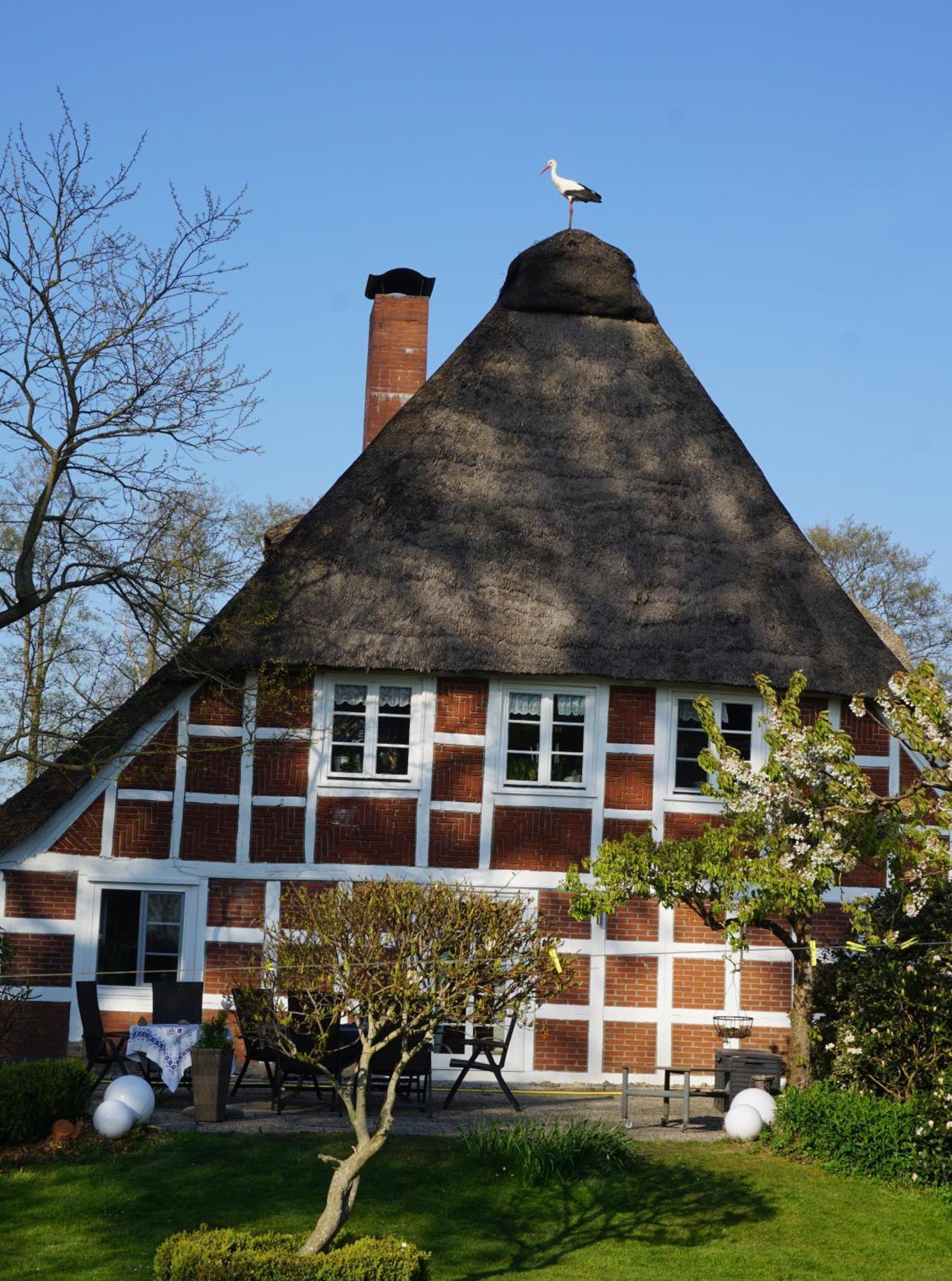 Altes Landhaus Oste, Klavier Appartement, 2 Zimmer Mit Kamin Hemmoor Kültér fotó